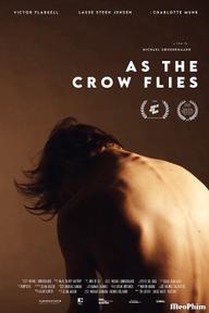 Đôi cánh tham vọng - As the Crow Flies (2022)