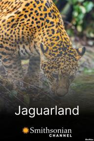Jaguarland - Jaguarland (2020)